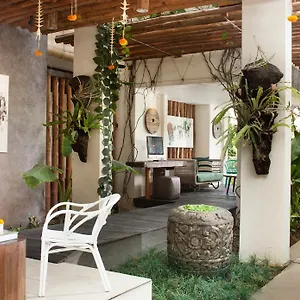 Grandmas 3*, Seminyak (Bali) Indonesia